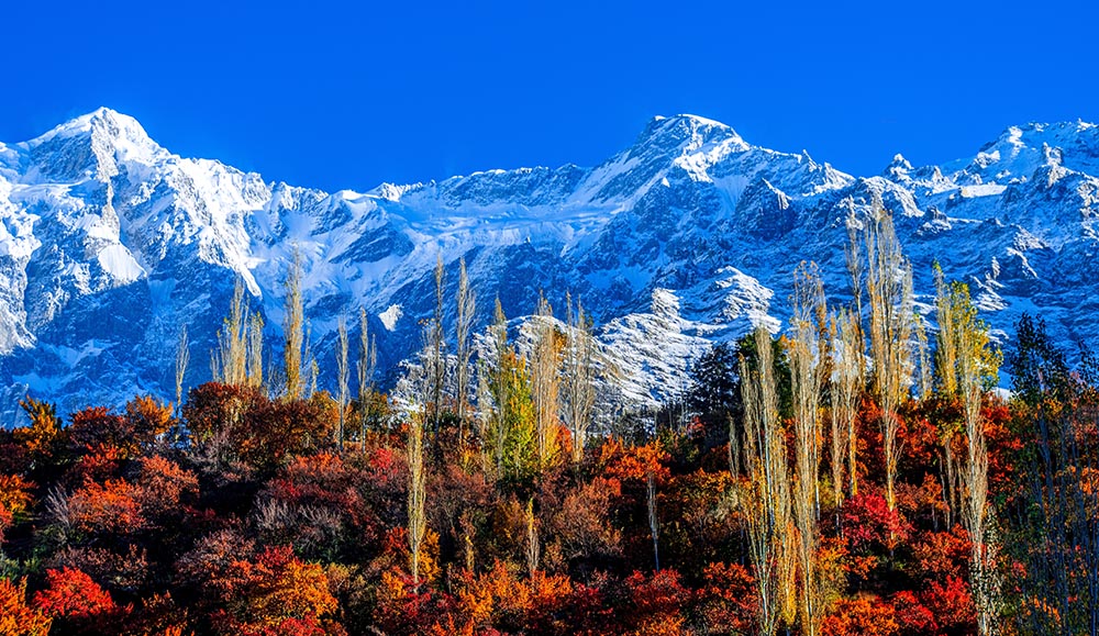 Hunza Valley Autumn Tour