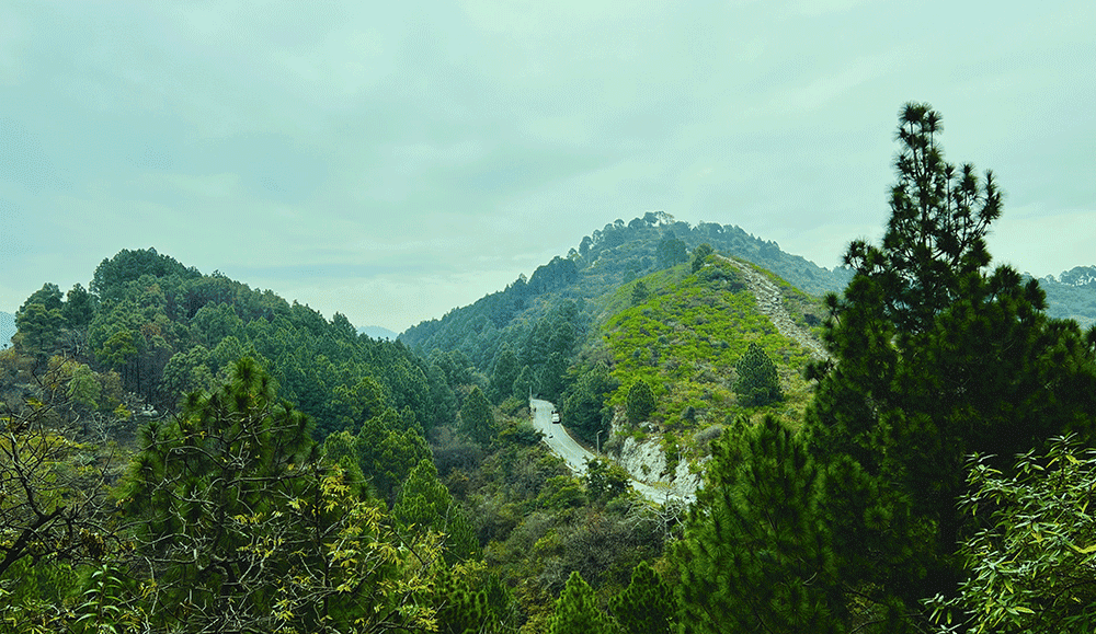 Pir Sohawa