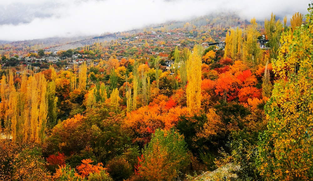 Autumn Foliage in Gilgit-Baltistan